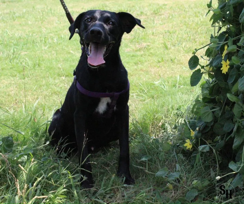 Mr Squiggle Butt thumbnail 2