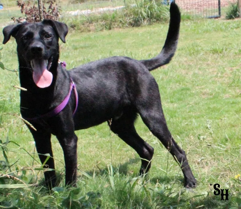 Mr Squiggle Butt thumbnail 6