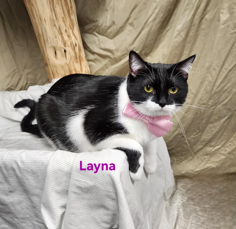 Layna thumbnail 3