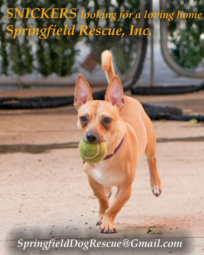 Snickers! Fun Playful 'good thumbnail 2