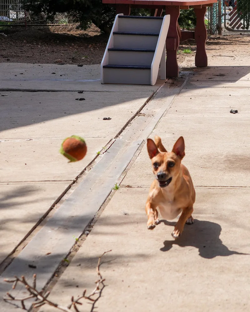 Snickers! Fun Playful 'good thumbnail 4