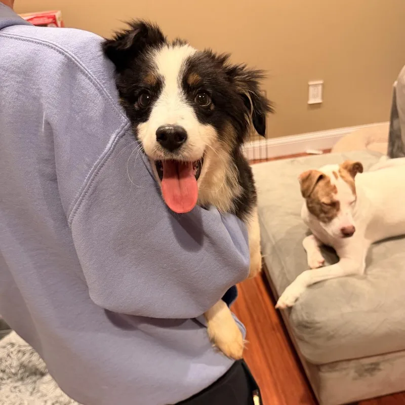 Tucker thumbnail 2