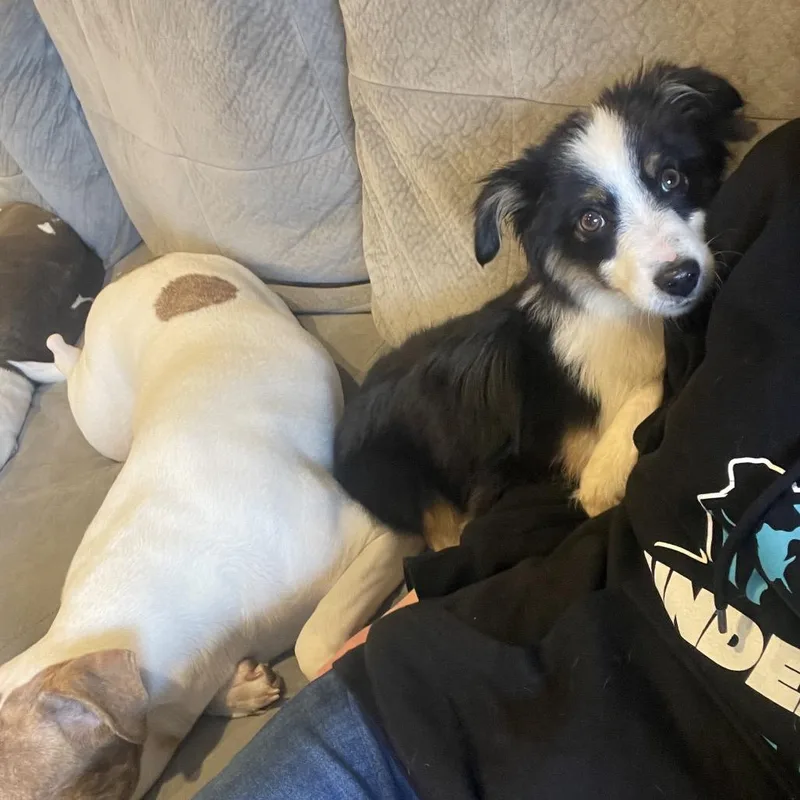 Tucker thumbnail 3