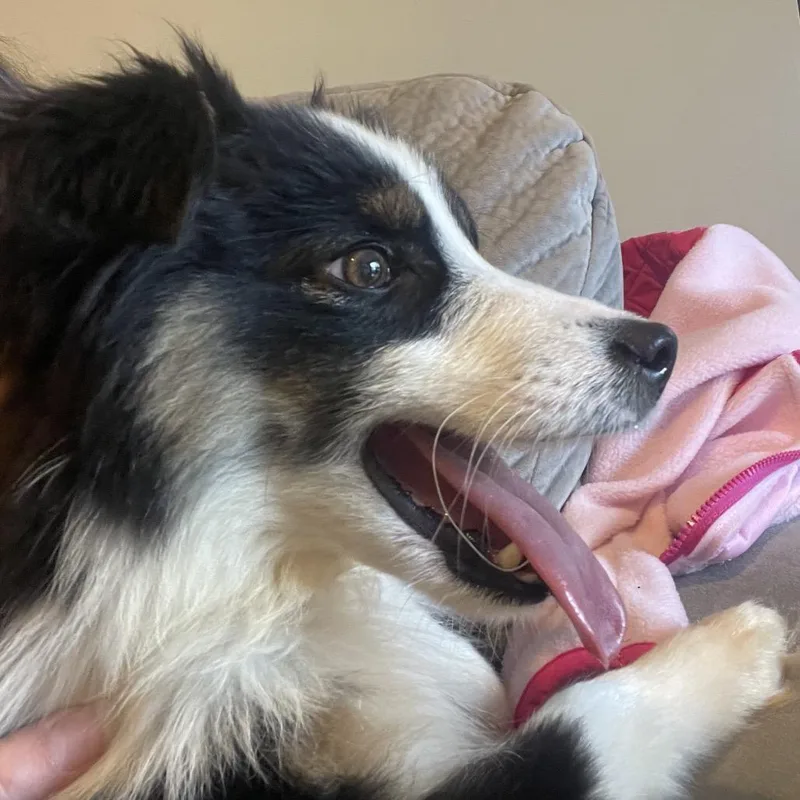 Tucker thumbnail 6