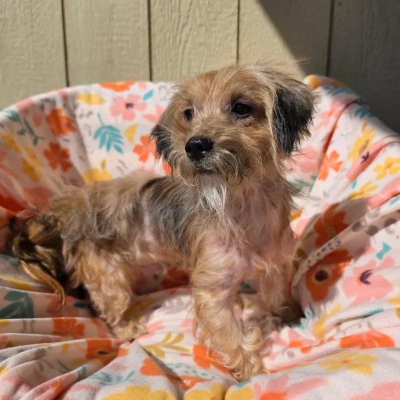 Guinness thumbnail 2