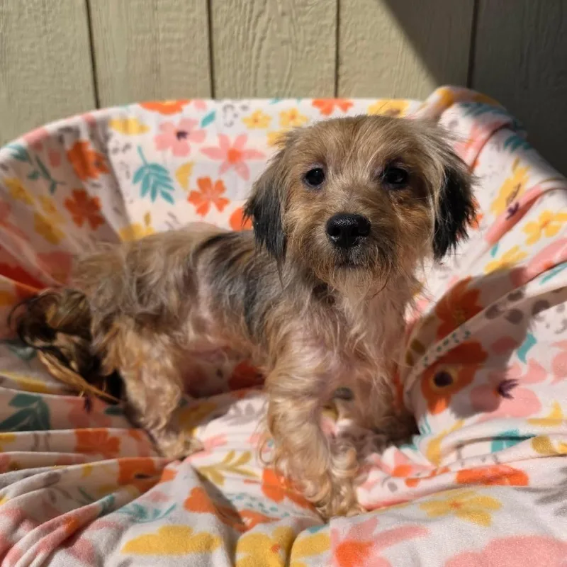 Guinness thumbnail 3