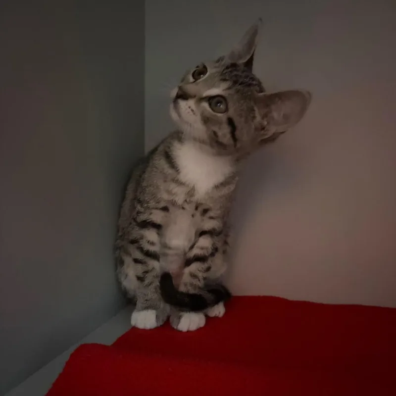 Sabrina thumbnail 3