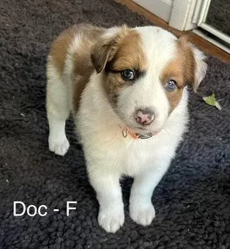 Doc thumbnail 2