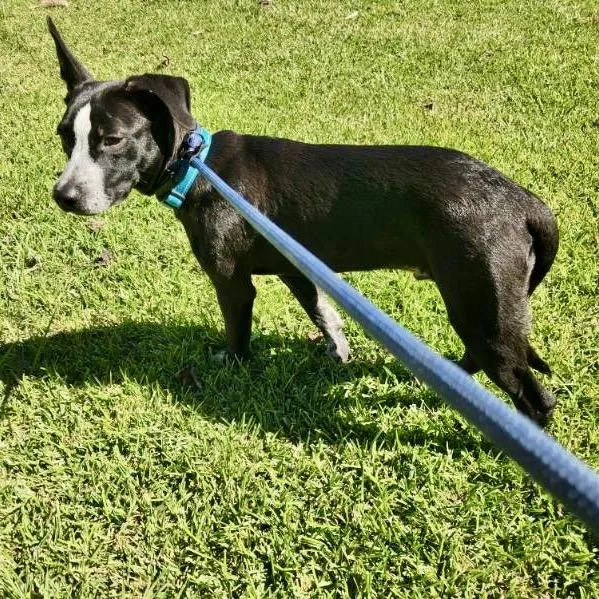 Ronnie Mclovin thumbnail 3