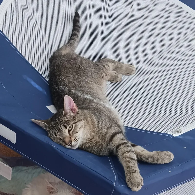 Story B. thumbnail 3