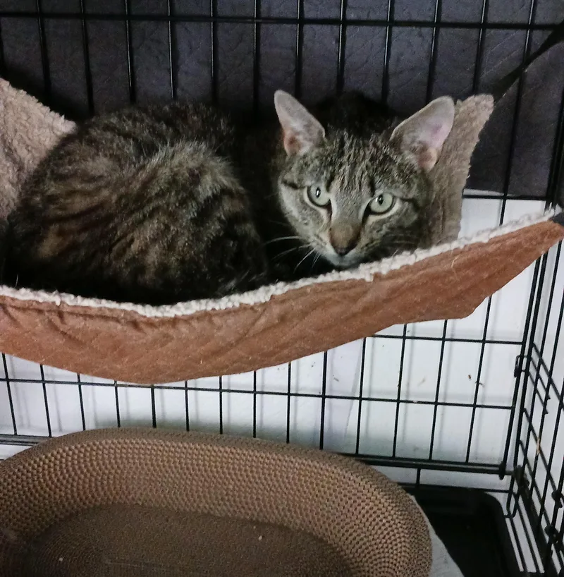 Story B. thumbnail 4