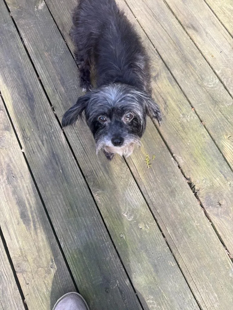 Susie Q Clark thumbnail 2