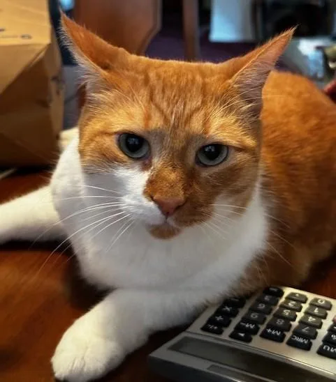 Andy thumbnail 5