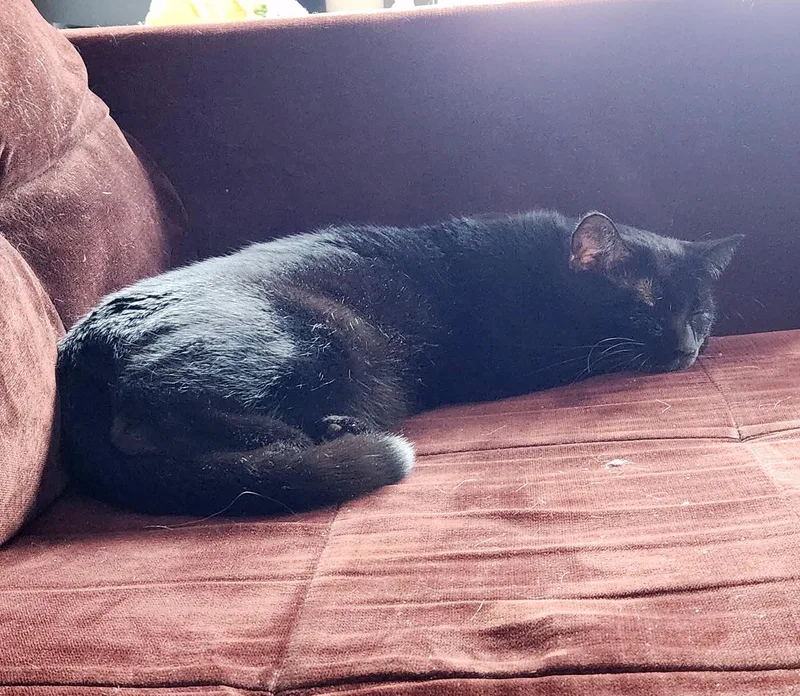 Boq & Fiyero thumbnail 3