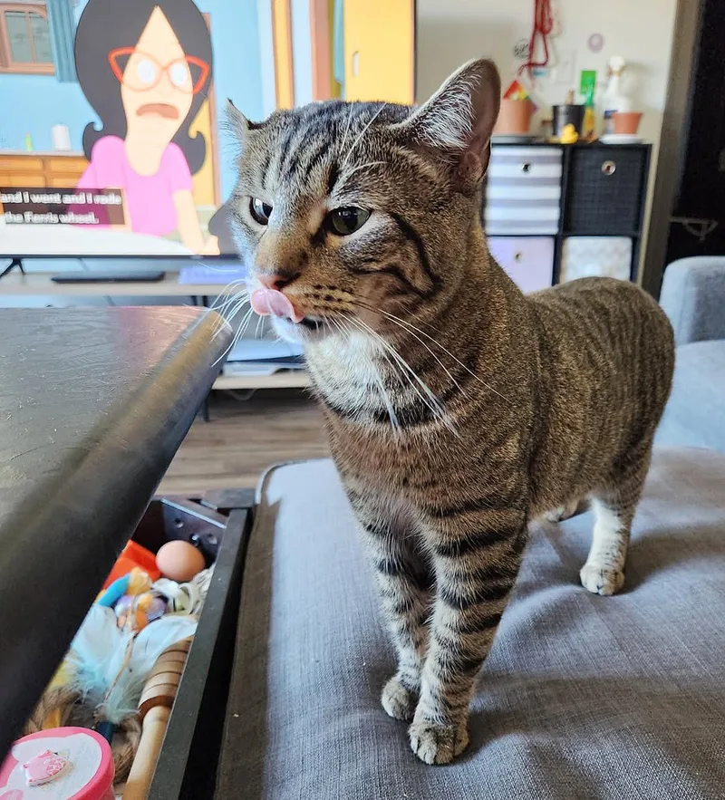 Boq & Fiyero thumbnail 5