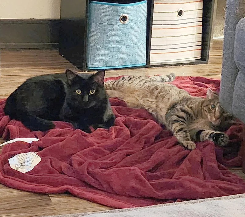 Boq & Fiyero thumbnail 6