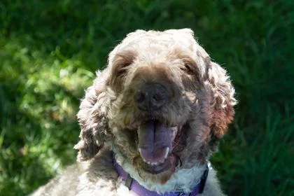 Molly