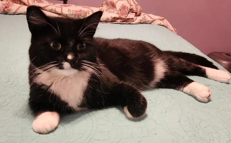 Lil Mama thumbnail 2