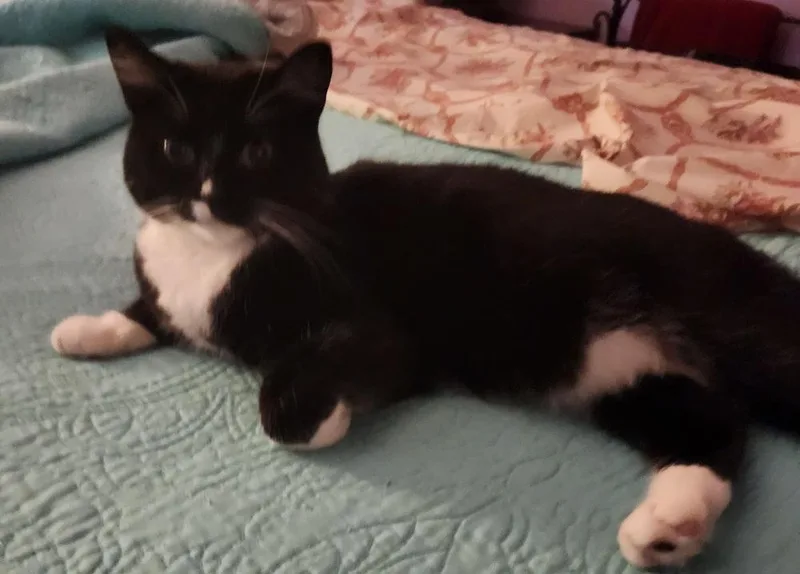 Lil Mama thumbnail 3