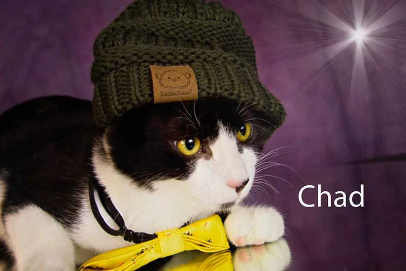 Chad thumbnail 2