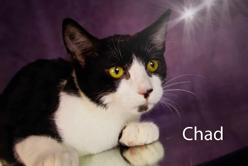 Chad thumbnail 3