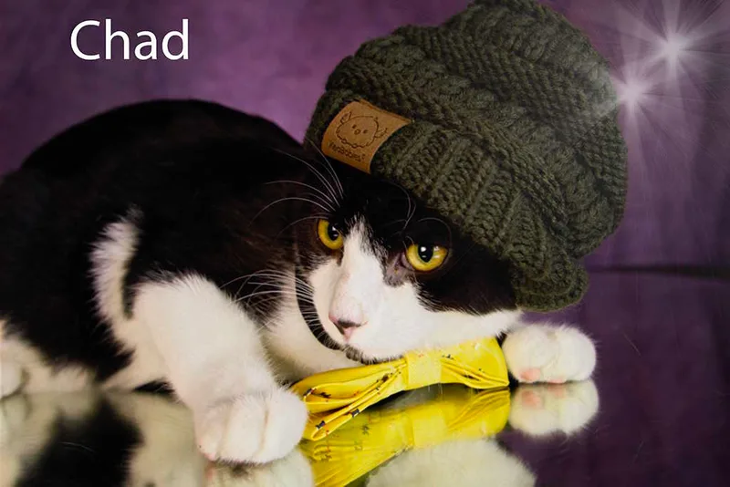 Chad thumbnail 4
