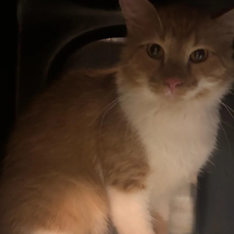 Eddie thumbnail 2