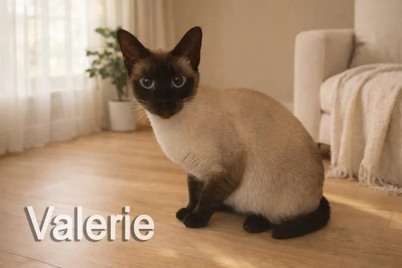 Valerie thumbnail 2