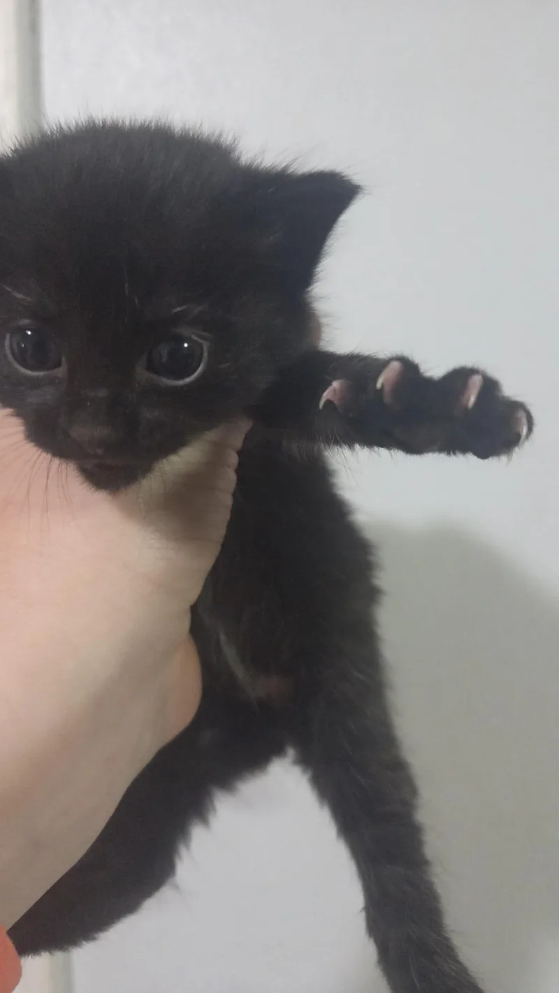 Matilda