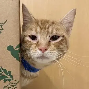 Tigger