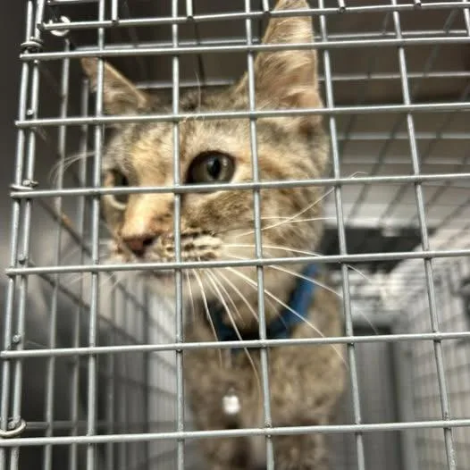 Esperanza thumbnail 2