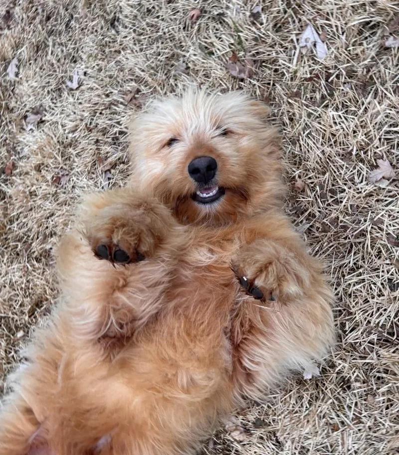 Einstein thumbnail 3