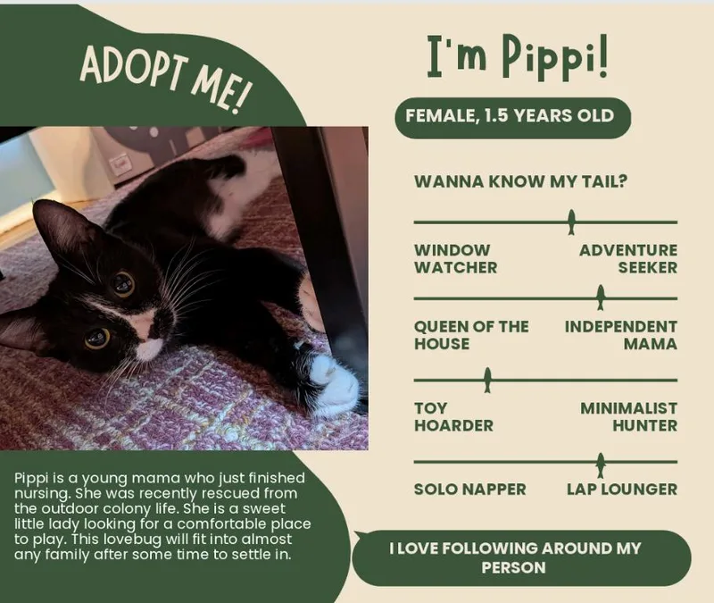 Pippi Willow Grove