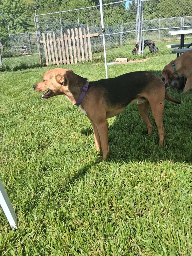 Harley Mo thumbnail 2