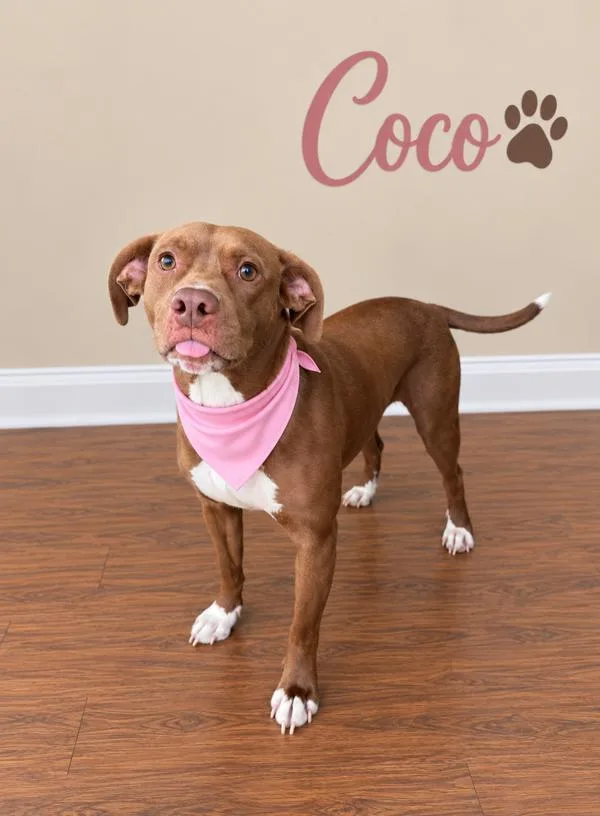 Coco