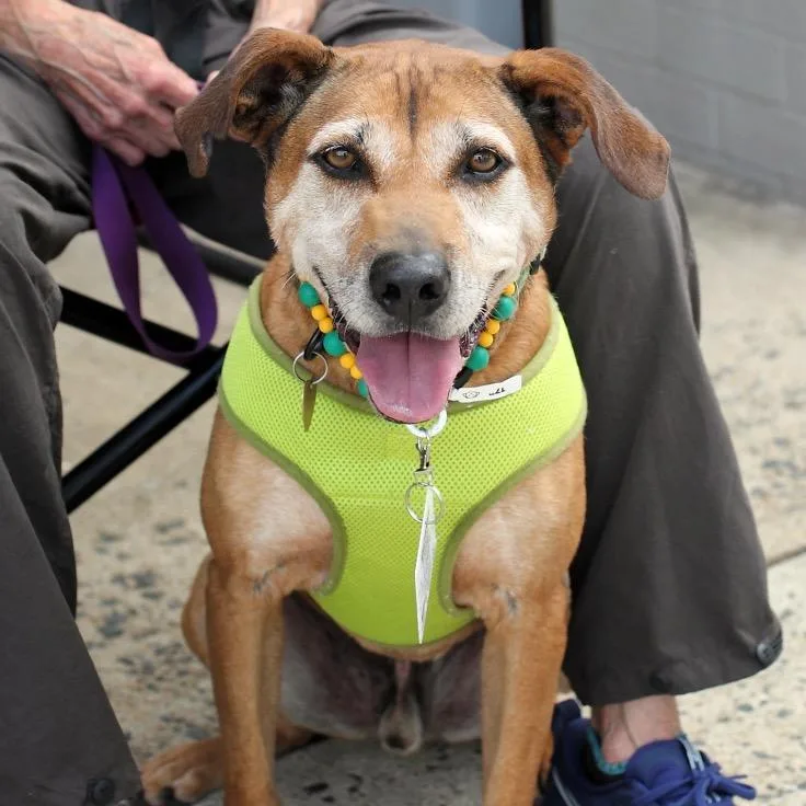 Jellyroll thumbnail 3