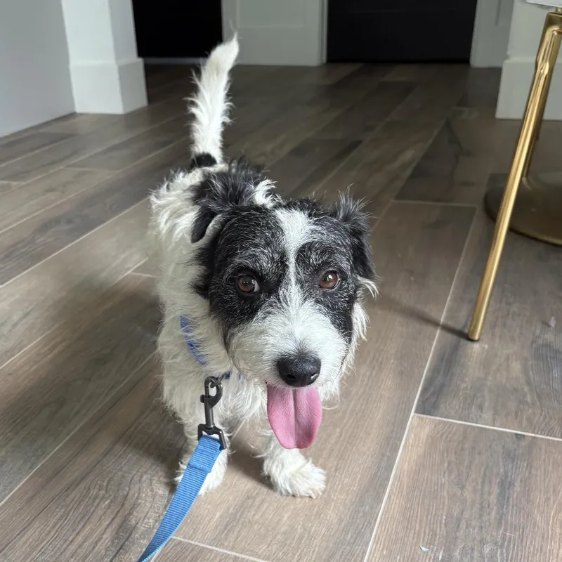 Marshall Lee thumbnail 2