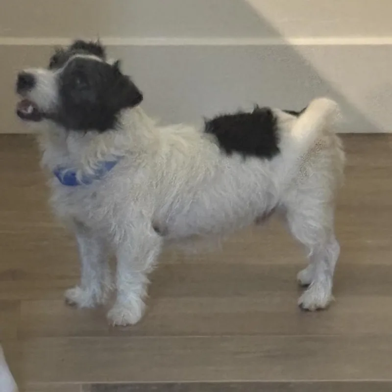 Marshall Lee thumbnail 4