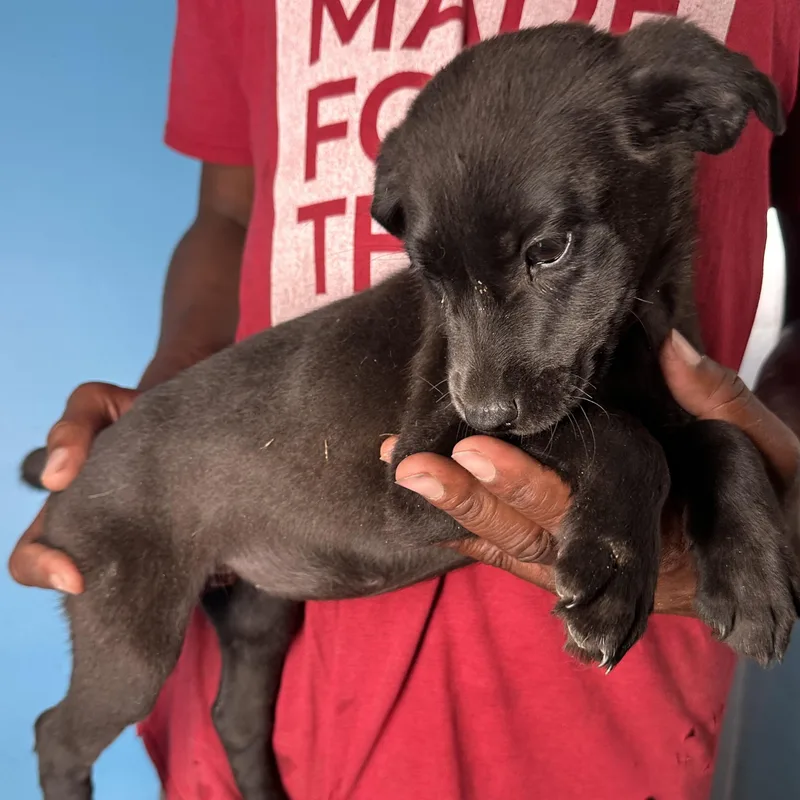 Maddie  Local April thumbnail 2