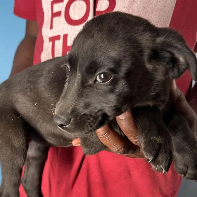 Maddie  Local April thumbnail 3