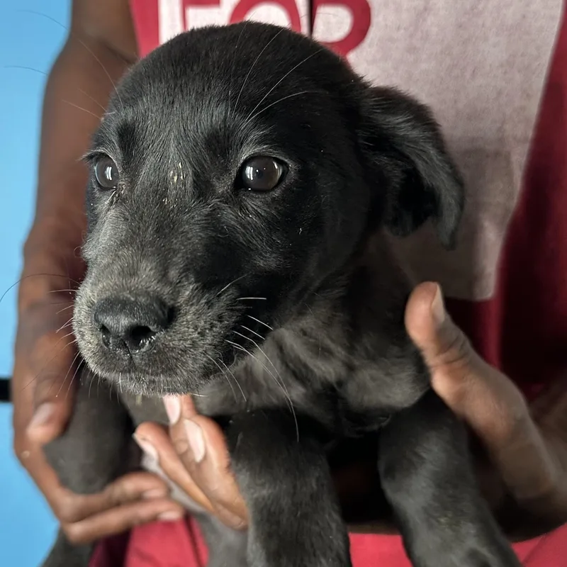 Maddie  Local April thumbnail 4