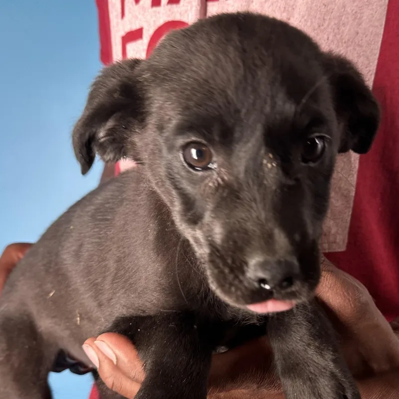 Maddie  Local April thumbnail 5