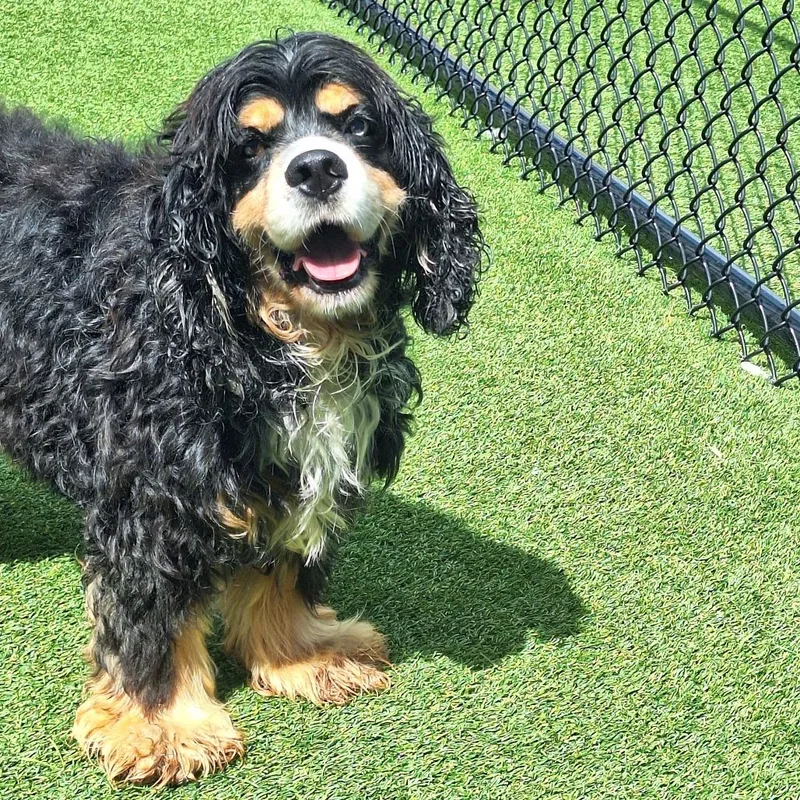 Hershey thumbnail 3