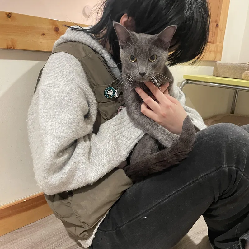 Onyx & Zucchini thumbnail 3