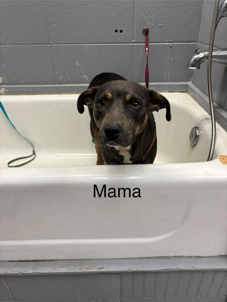 Mama thumbnail 2