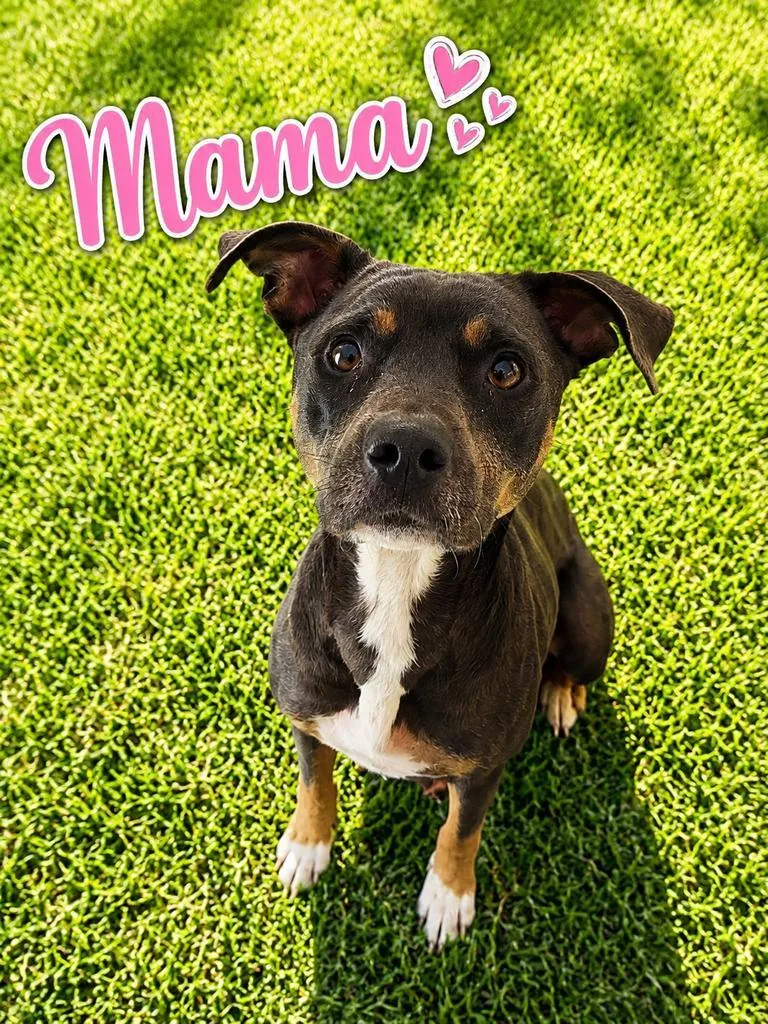 Mama thumbnail 3
