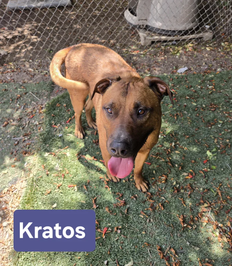 Kratos thumbnail 2