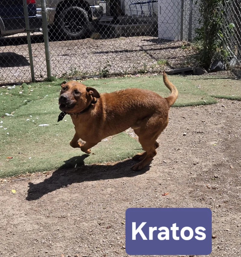Kratos thumbnail 3
