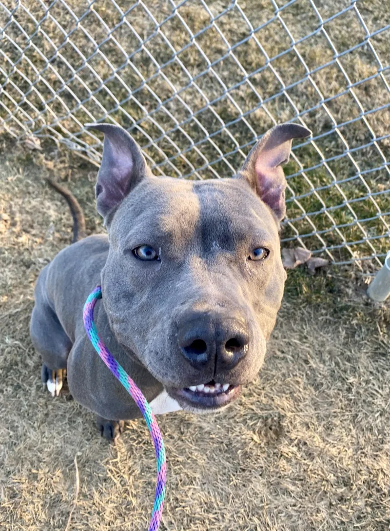 Lady Luck thumbnail 2