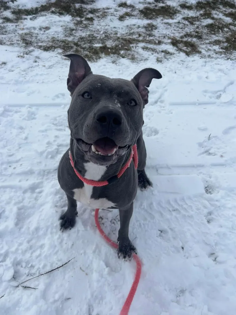 Lady Luck thumbnail 3